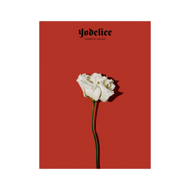 WHAT'S THE CURE?<br/>AFFICHE