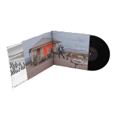 WHAT'S THE CURE?<br/>VINYLE